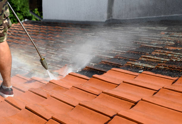 Best Affordable Power Washing  in North Sea, NY