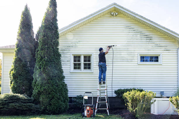 Professional Pressure Washing in North Sea, NY